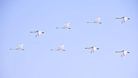 天猫旗舰店PS5开始涨价 光驱版售价调整为4299元